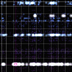 Encircled drift receipt for commit 9dbba47e4 — green in-lane rings, amber bleed, red drift